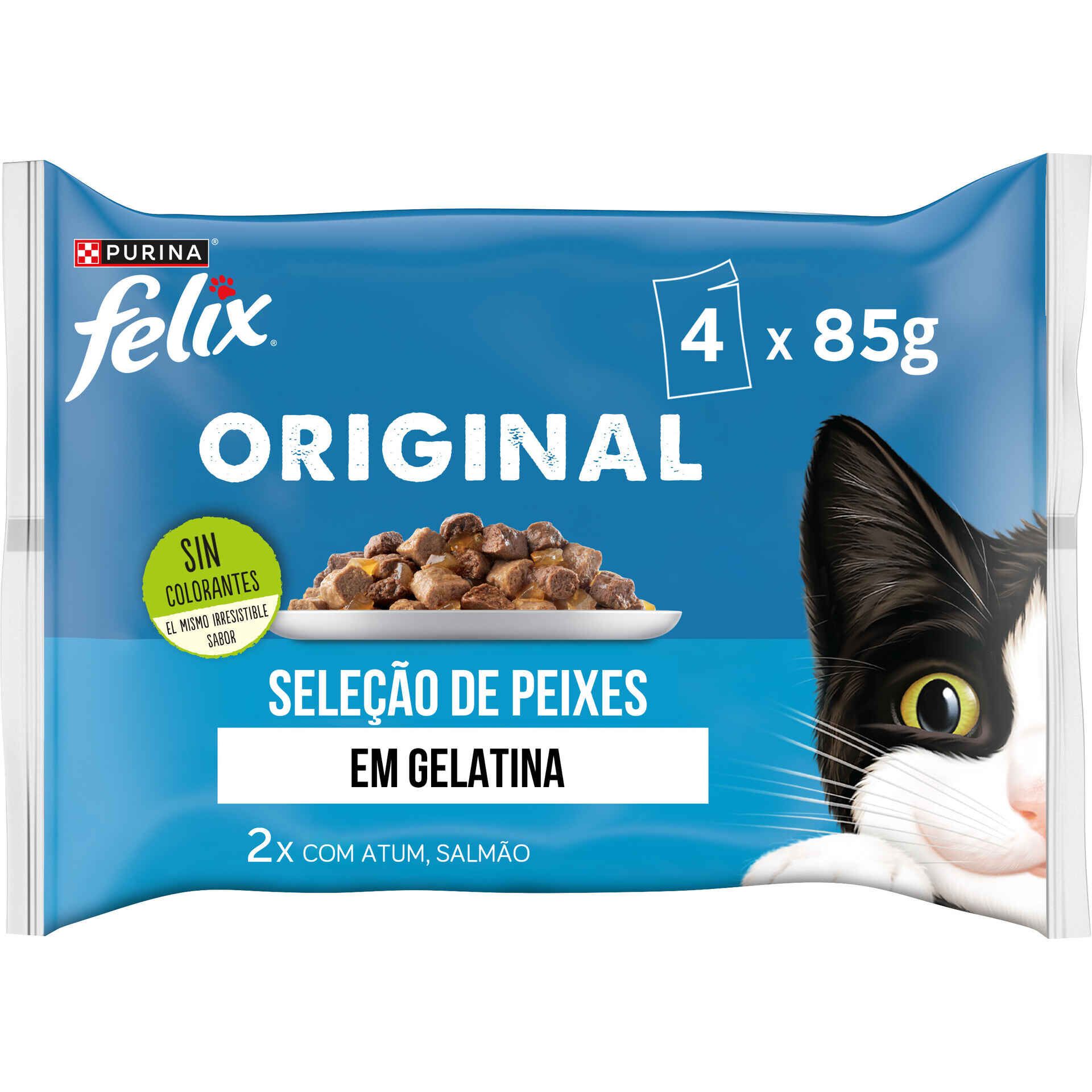 Alimentação Húmida Gato