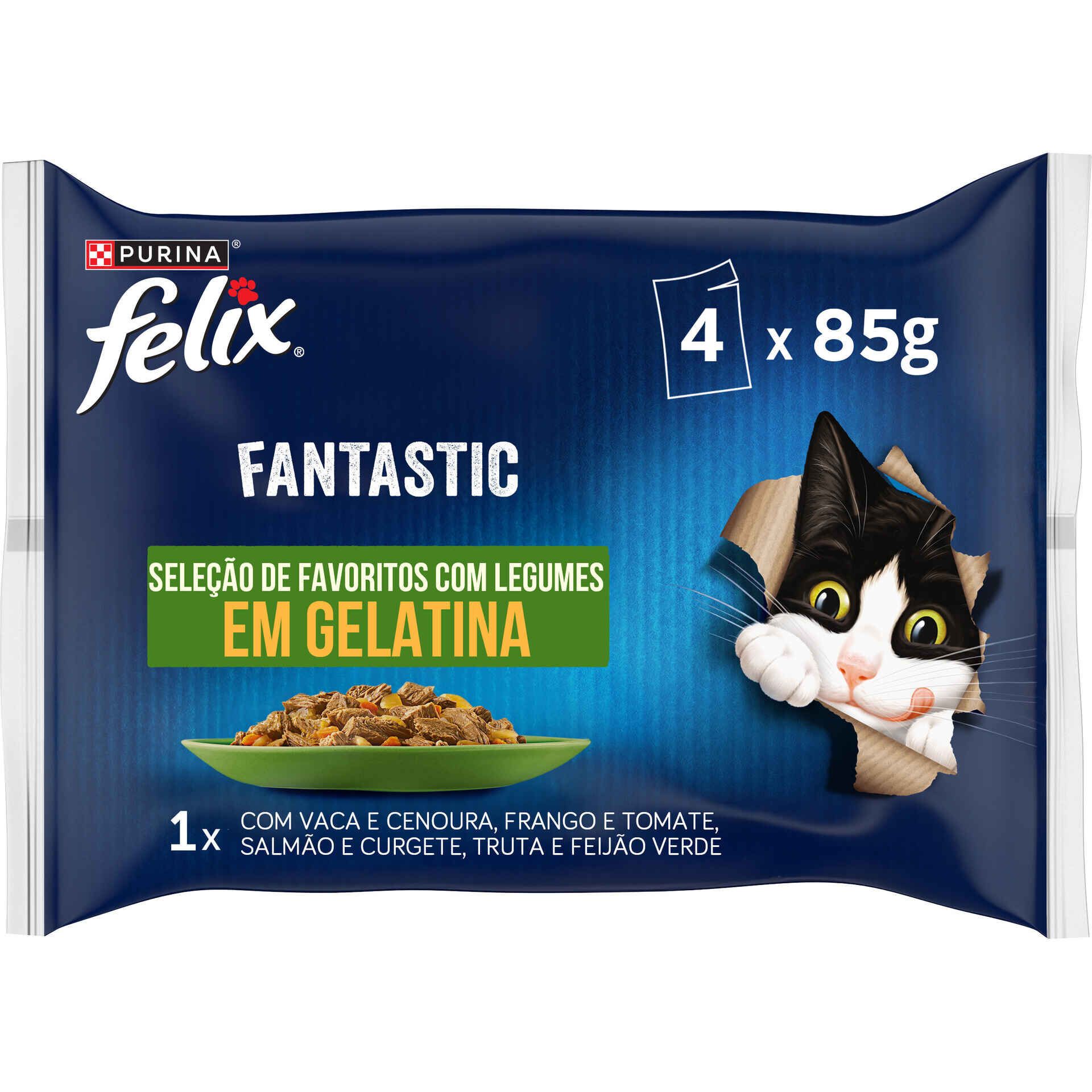 Alimentação Húmida Gato