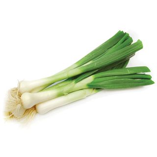 Luk Mladi 500g