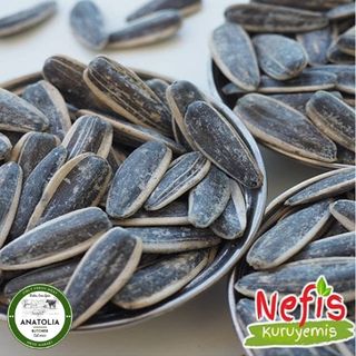 Nefis Tuzlu Çekirdek-Suncokretovo Seme-Sunflower Feed