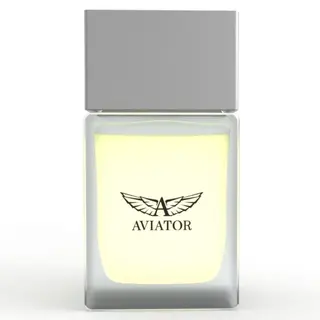 Wingspeed Eau de Parfum - Aviator - 100 ml