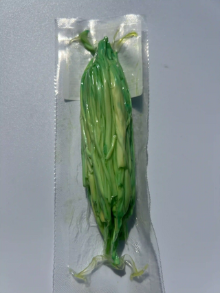 Сулугуні васабі 100гр