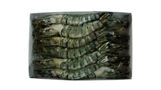 Krewetki Black Tiger 8-12 z głowa (krewetki tygrysie) - 800 g