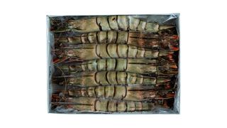 Krewetki Black Tiger 6-8 z głowa (krewetki tygrysie) - 800 g