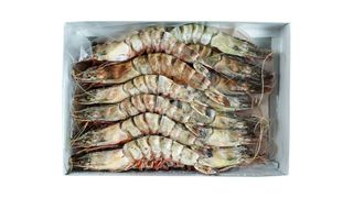 Krewetki Black Tiger 16-20 z głowa (krewetki tygrysie) - 800 g