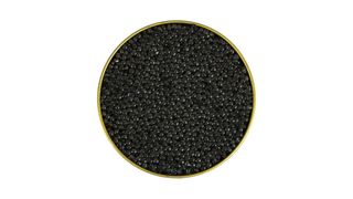 Czarny kawior z bieługi premium - 100 g