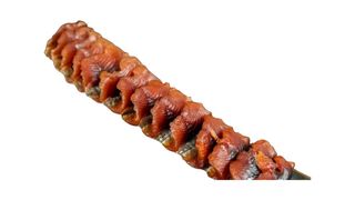 Suszony filet z dzikiego łososia (jukoła)