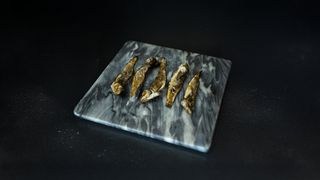 Babka suszona z ikra