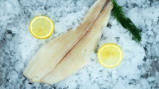 Halibut Niebieski filet B/S