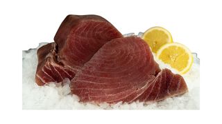 Tuńczyk żółtopłetwy klasy Sashimi