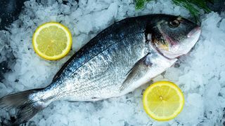 Dorada Royal patroszona