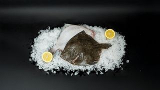 Turbot Patroszony