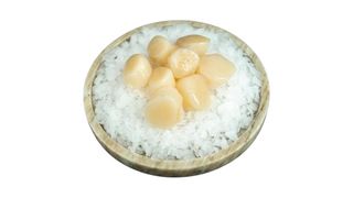 Przegrzebki japońskie