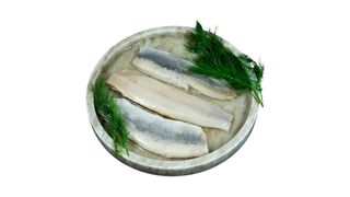 Matias (śledź) holenderski w oleju