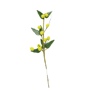 Ramo Mimosa Piccolo 25Cm