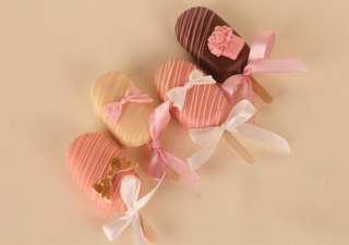 Prăjitură Eskimo cu ciocolată și coacăză