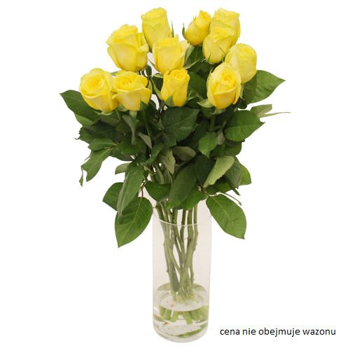 To ona dziś rozkwita