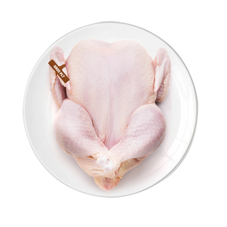 GROS POULET FRAIS [1,476 kg]