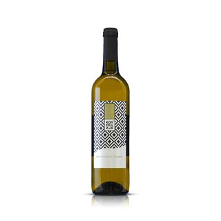 Konekcija sauvignon blanc