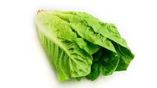 Sałata rzymska 1 szt