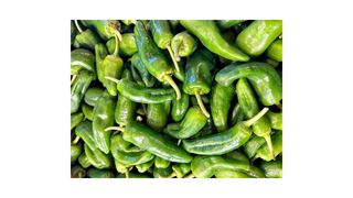 Papryczki Padron 500g