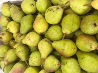 Gruszka lukasówka 500 g