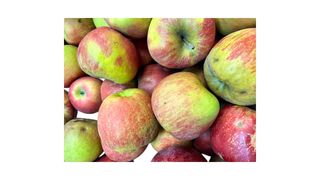 Jabłka Champion 500 g