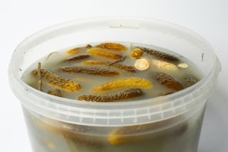 Ogórki Kiszone luz - 0,5 kg