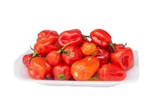 Red Pepper (Rodo)