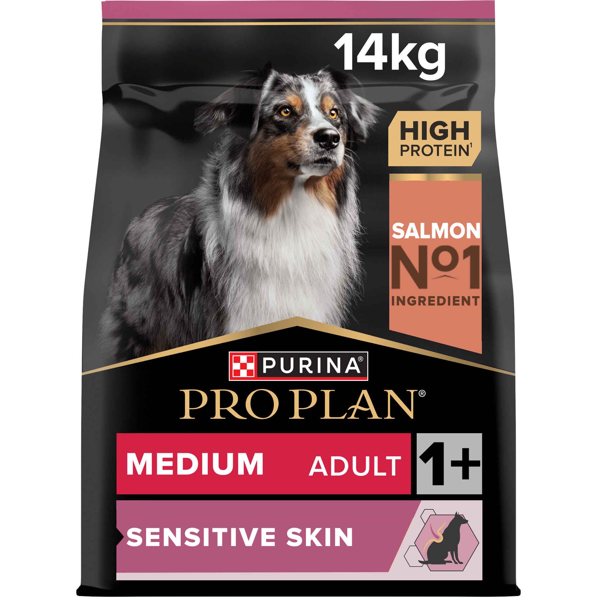 Pro Plan