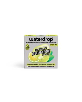 Recharge Limun Menta (12 kocki)