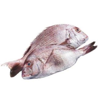 Petit Pageot Essaies Asmak Sud au kg