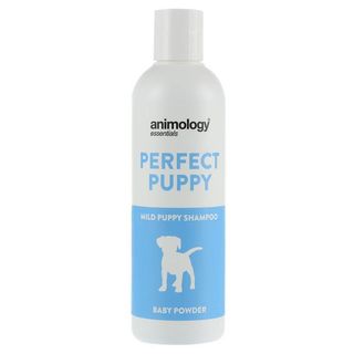 Champô Cão Essencials Baby Talco 250ml