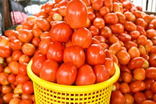 Tomato Half Basket