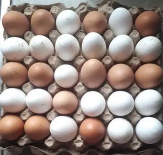 Eggs Full Crate, 30 Eggs