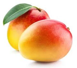 MANGO, Brazylia Szt.
