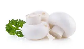 PIECZARKA LUZ, Polska 500 g