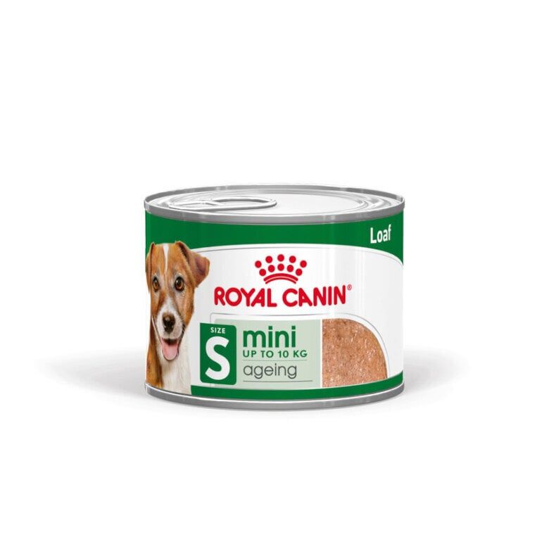 Alimentação Húmida Cão