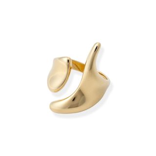 Anillo Neptune Recargable