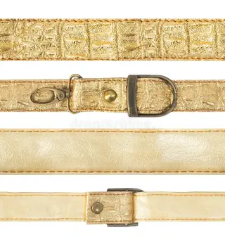 Arnes Designer Dorado