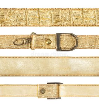 Arnes Designer Dorado