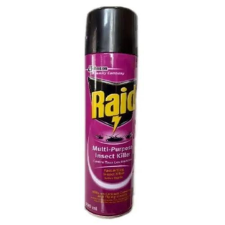 Raid Multi-Purpose Insect Killer, 300ml