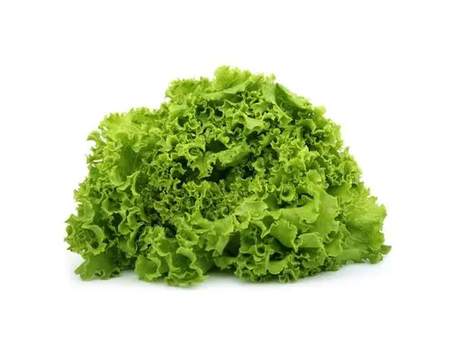 Biológicos