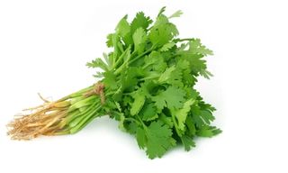 Green Parsley