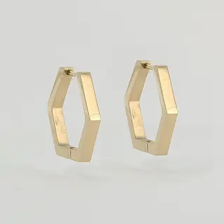 Zag Bijoux Surgical Stainless Steel Earring / SEC13932-01UNI