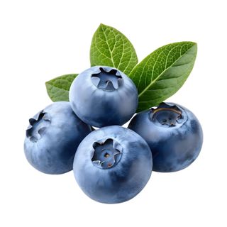 მოცვი იმპ