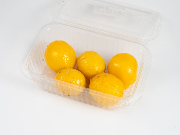 Salaison