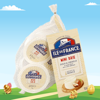 Offre MINI BRIE ILE DE FRANCE (5 - 100260600