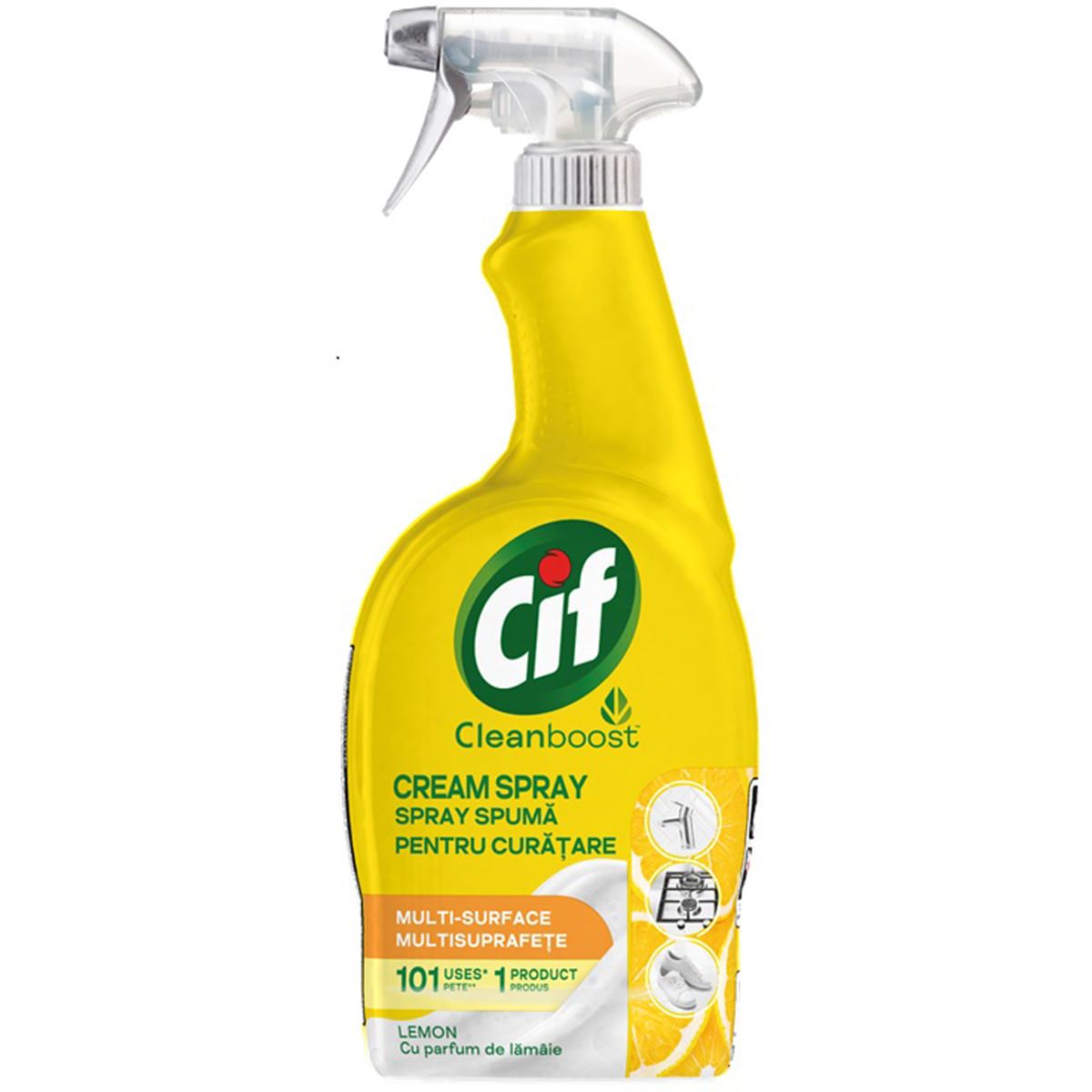 Solutii intretinere casa