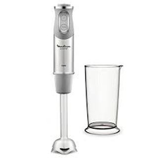 Mixeur plongeant MOULINEX 1000w 10 vitesse gris